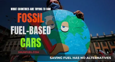 Which Countries Are Phasing Out Gas and Diesel Cars?