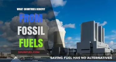 Fossil Fuel Dependence: Who Benefits?