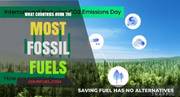 Who's Burning the Most Fossil Fuels?