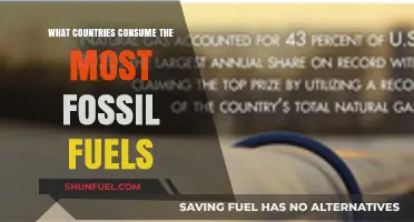Fossil Fuel Consumption: Top Global Emitters