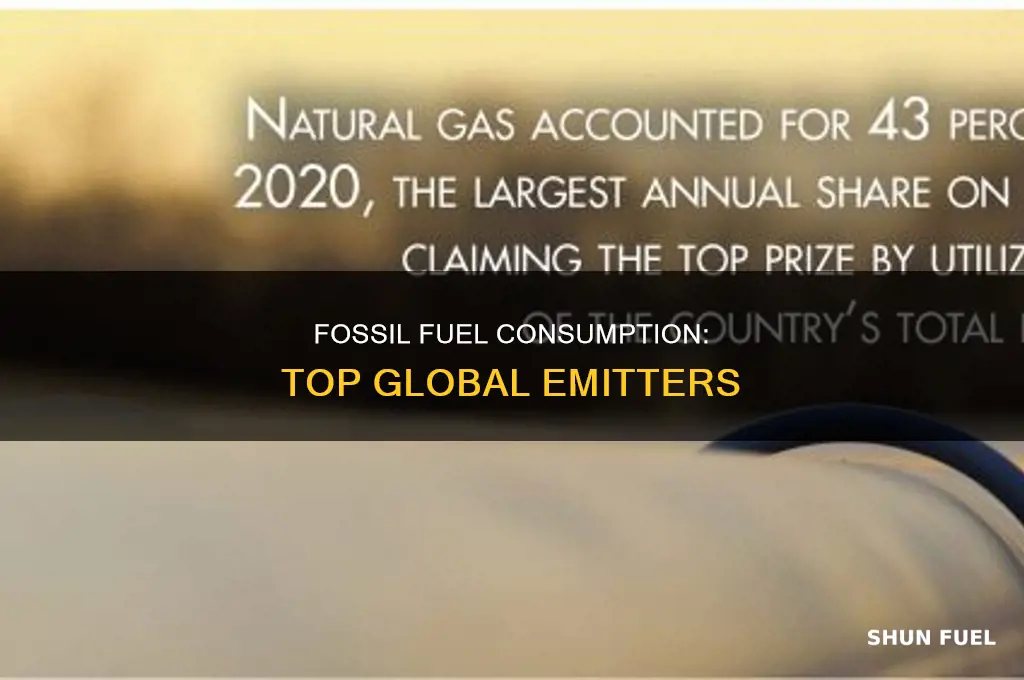 what countries consume the most fossil fuels