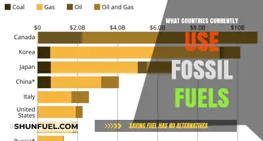 Which Countries Still Rely on Fossil Fuels?