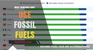 Fossil-Free Nations: Who's Leading the Green Energy Revolution?