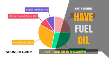 Global Fuel Oil Distribution: Which Countries Rely on This Energy Source?