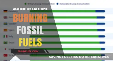 Which Countries Have Ditched Fossil Fuels?