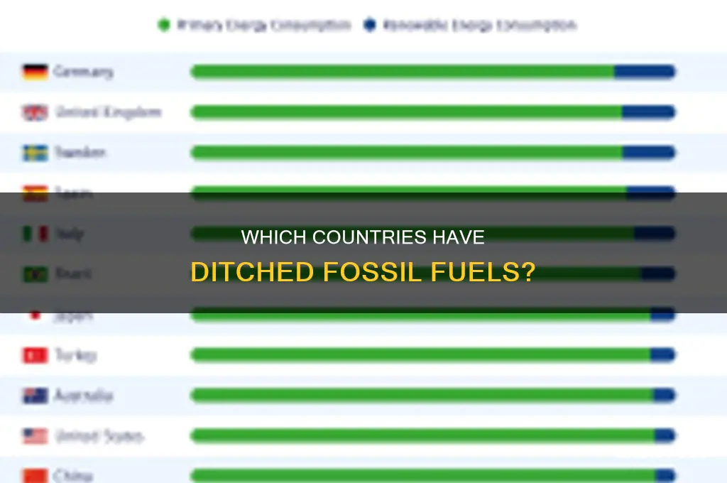 what countries have stopped burning fossil fuels