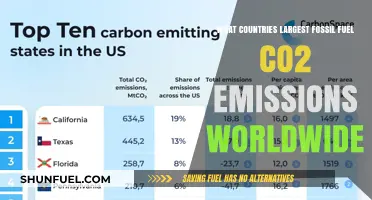 Which Nations Emit the Most Fossil Fuel CO2?