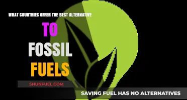 Green Energy Alternatives: Which Countries Lead the Way?