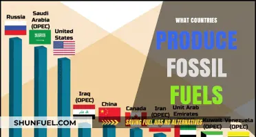 Fossil Fuel Producing Countries: Who's Responsible?