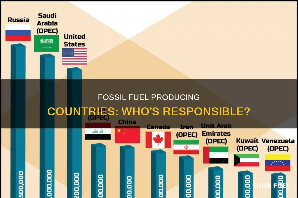 what countries produce fossil fuels