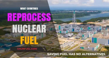 Global Leaders in Nuclear Fuel Reprocessing: Which Nations Recycle?