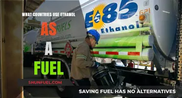 Global Ethanol Adoption: Countries Leading the Biofuel Revolution