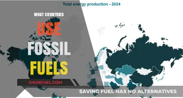 Fossil Fuel Usage: A Global Perspective