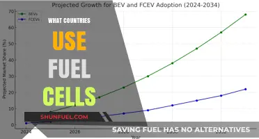Global Adoption of Fuel Cells: Which Countries Lead the Way?
