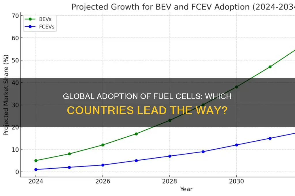 what countries use fuel cells
