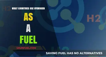 Hydrogen Fuel Adoption: Which Countries Are Leading the Global Shift?