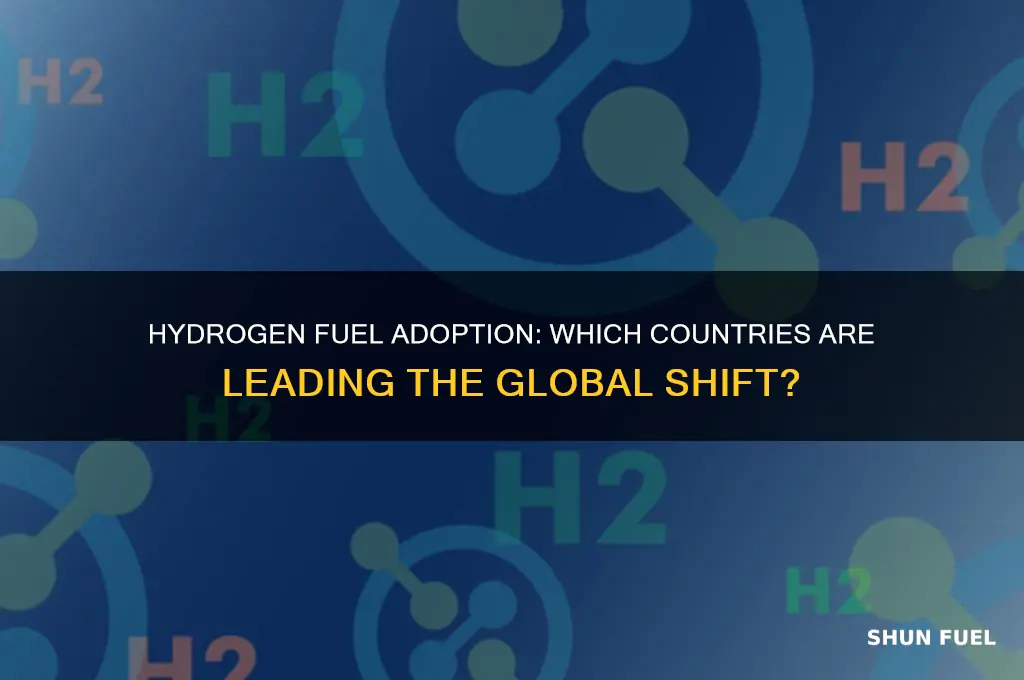 what countries use hydrogen as a fuel