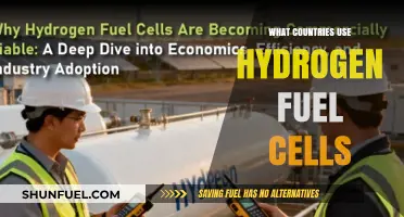 Global Adoption: Countries Leading the Hydrogen Fuel Cell Revolution