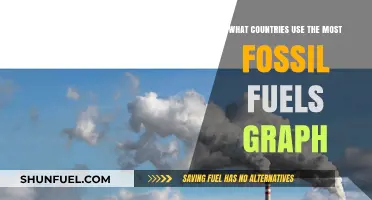 Fossil Fuel Usage: A Global Comparison