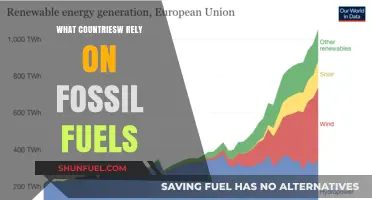 Fossil Fuel Dependence: A Global Snapshot