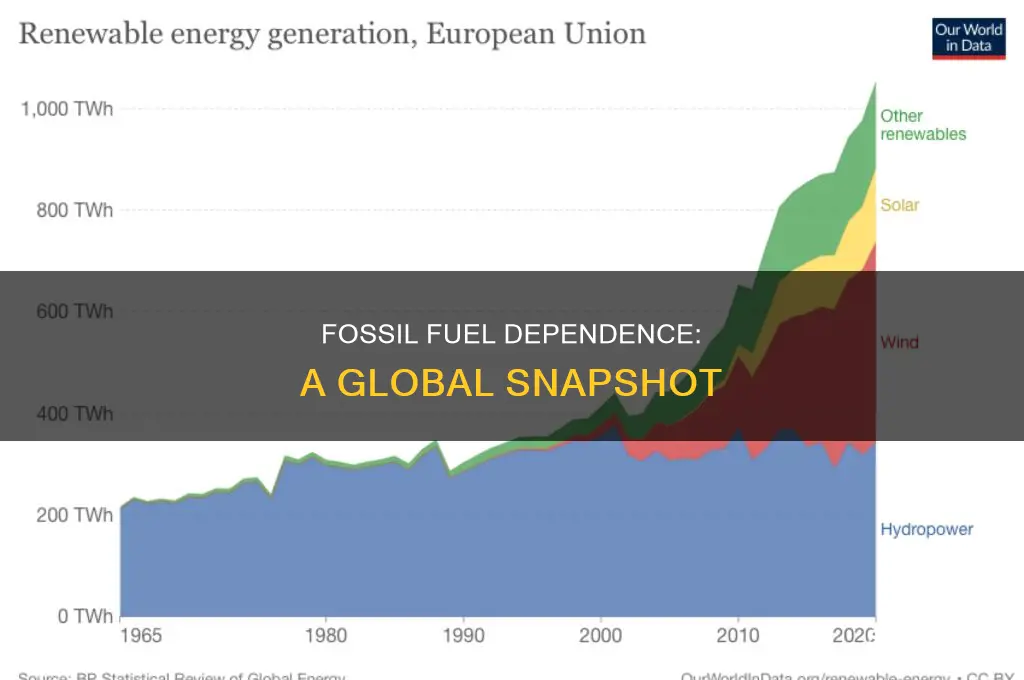 what countriesw rely on fossil fuels