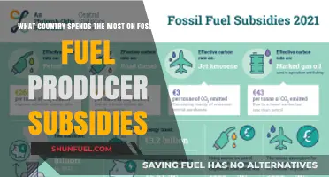 Who Funds Fossil Fuels the Most?