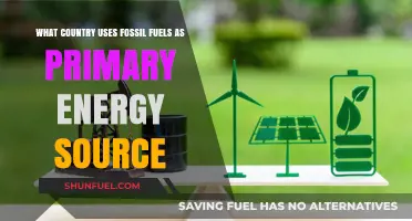 Global Reliance: Which Nations Depend on Fossil Fuels for Energy?