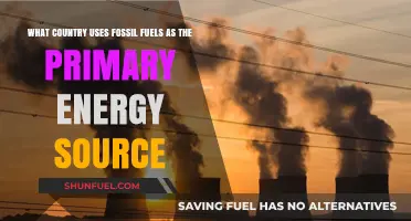 Fossil Fuel Dependence: Which Countries Still Rely on It?