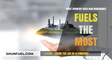 Global Reliance: Which Nation Consumes the Most Non-Renewable Fuels?
