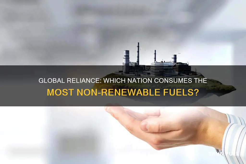 what country uses non renewable fuels the most