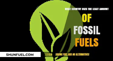 Fossil Fuel-Free Nations: Who's Leading the Way?
