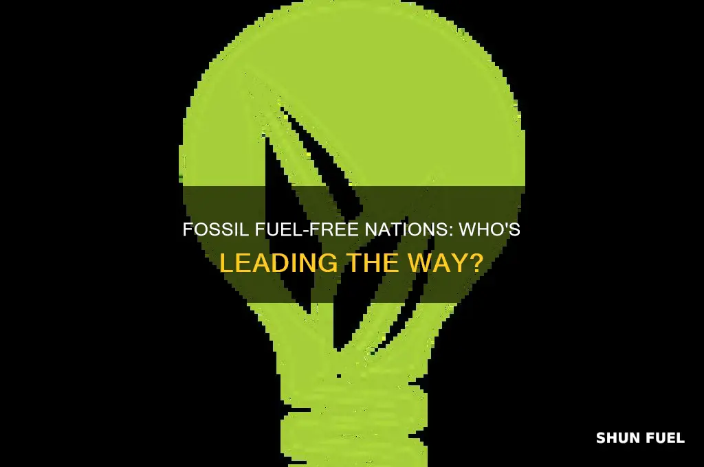 what country uses the least amount of fossil fuels