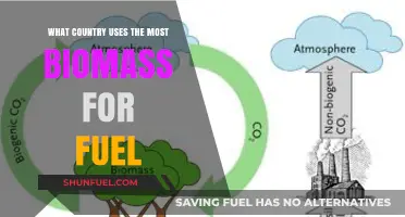 Global Biomass Fuel Leader: Which Country Tops the Usage Chart?
