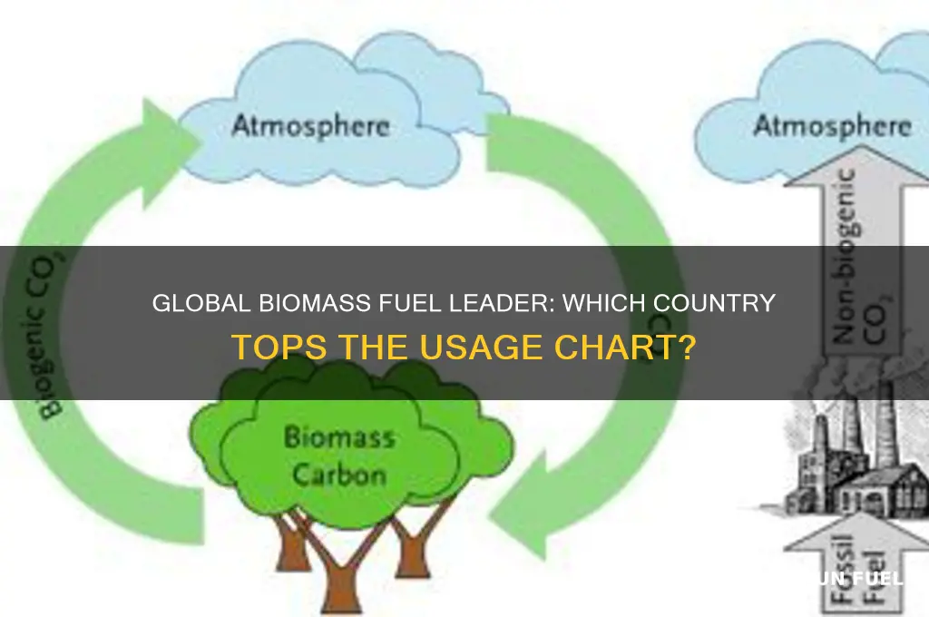 what country uses the most biomass for fuel