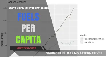 Global Fossil Fuel Consumption: Which Nation Leads Per Capita Usage?