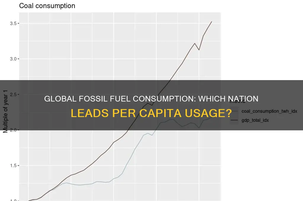 what country uses the most fossil fuels per capita