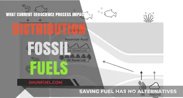 Geoscience's Impact on Fossil Fuel Distribution