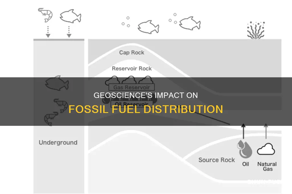 what current geoscience process impact its distribution fossil fuels