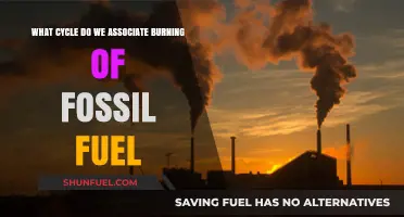 Fossil Fuel Combustion: The Carbon Cycle's Dark Side