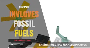 The Fossil Fuel Energy Cycle: How It Works