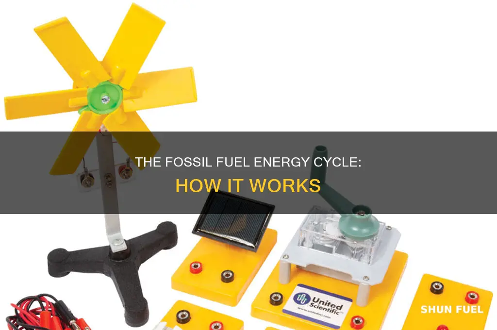 what cycle invloves fossil fuels