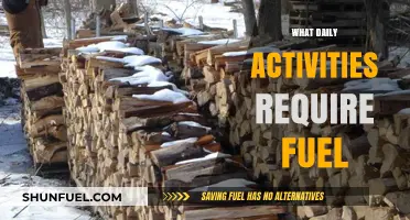 Daily Activities That Need Fuel: Powering Your Routine Efficiently