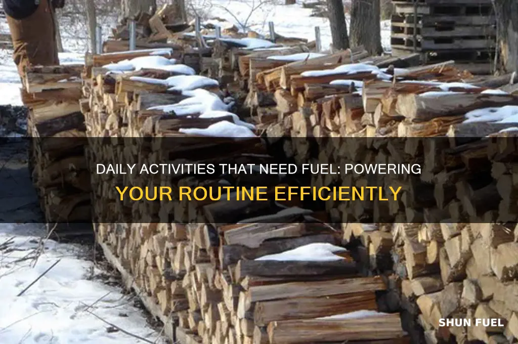 what daily activities require fuel