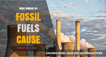 Fossil Fuels: Damaging Our Planet, Hurting Our Future