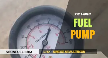 What Causes a Damaged Fuel Pump and How to Prevent It