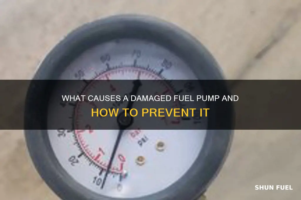 what damaged fuel pump