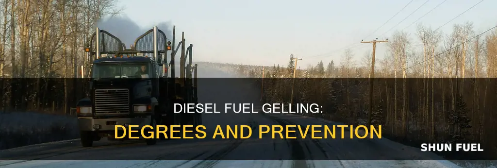 what degree does diesel fuel begin to gel