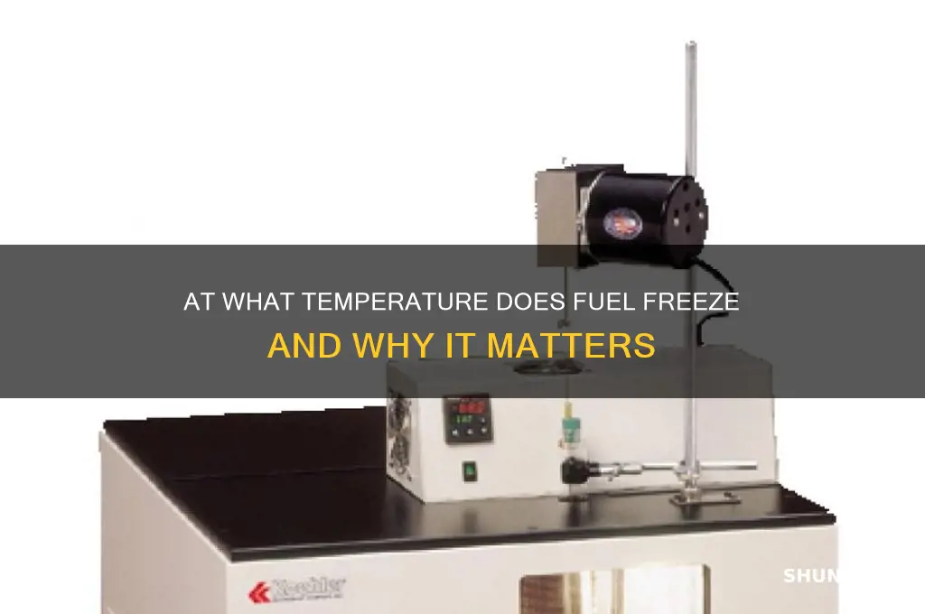 what degree does fuel freeze