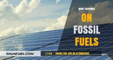 Our Fossil Fuel Dependence: Energy, Economy, and Climate