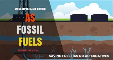 Fossil Fuel Deposits: What Gets Burned and Why?